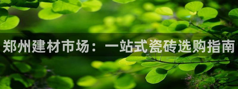 杏鑫手机客户端