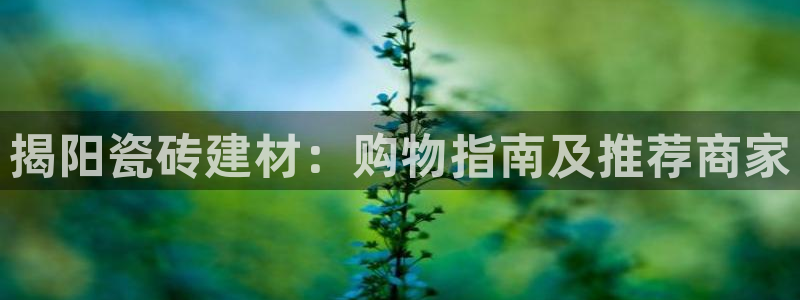 杏鑫平台野马联盟怎么样