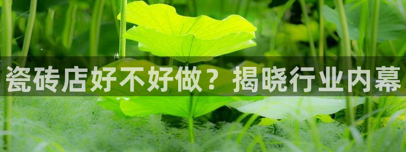 杏鑫代理注册平台