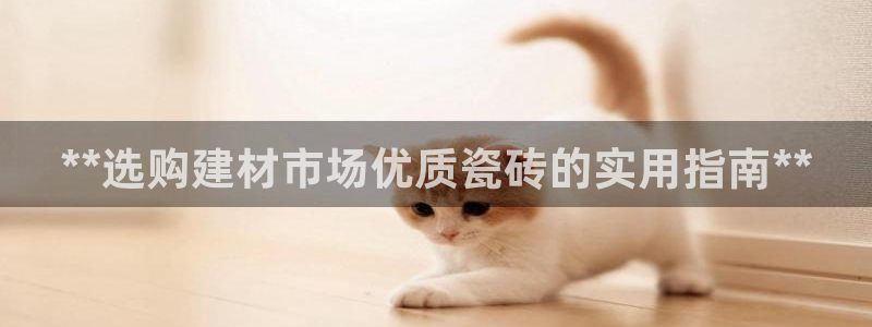 杏鑫平台招商怎么样
