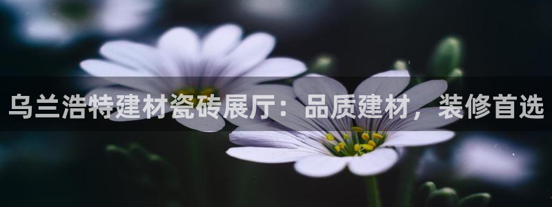 杏鑫娱乐平台