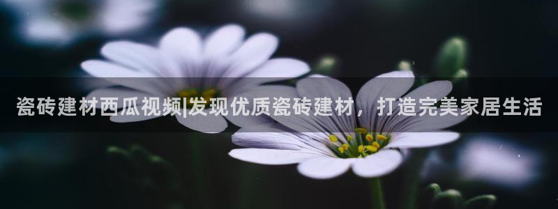 杏鑫官网最新信息