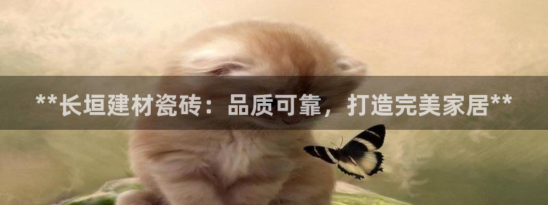 杏鑫娱乐开发团队