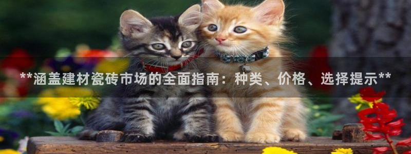 杏鑫平台登陆