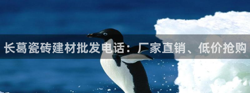 杏鑫注册登录代理公司