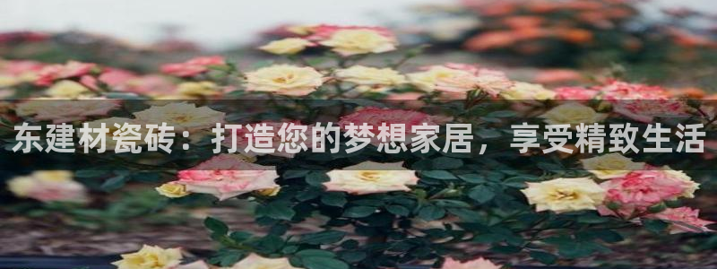 杏鑫注册登录网