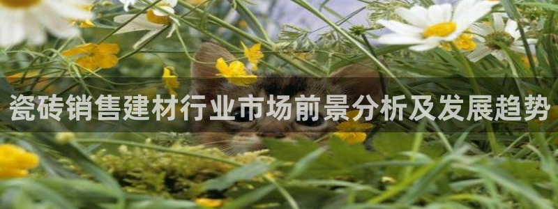杏鑫代理注册平台