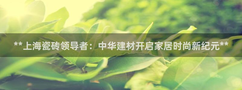 杏鑫平台代理注册多少钱啊