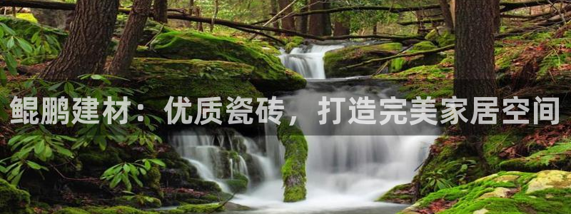 杏鑫平台登录地址在哪