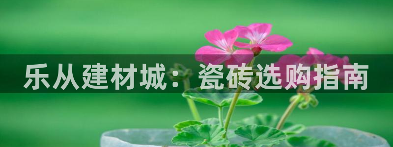 杏鑫平台注册地址在哪里