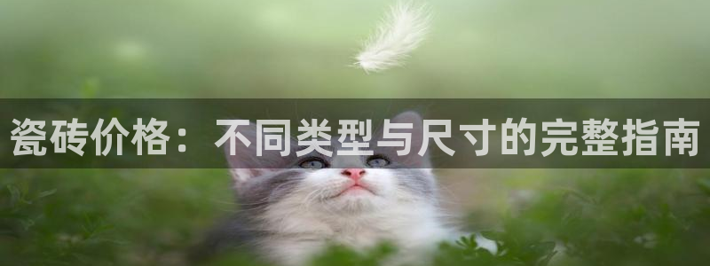杏鑫平台注册登录