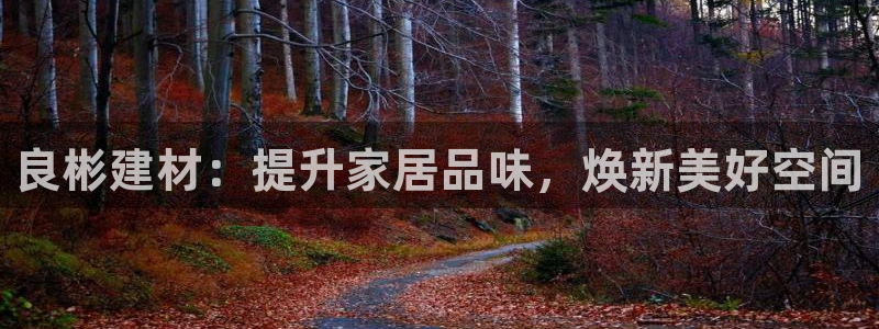 杏鑫娱乐多少年了