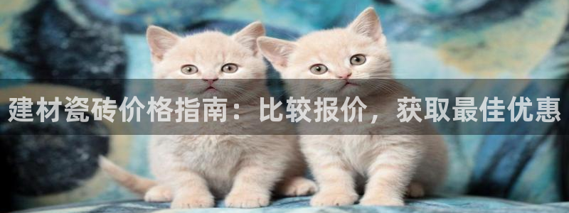 杏鑫平台招商