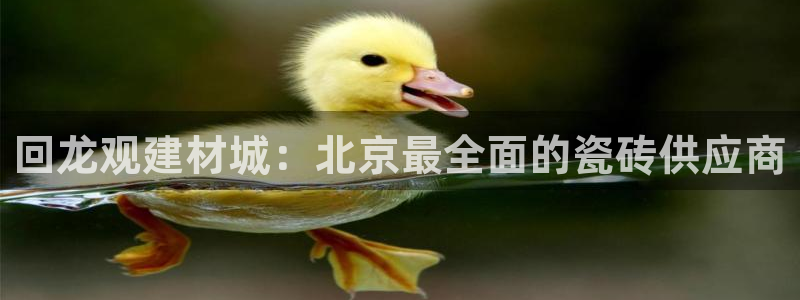 杏鑫平台怎么样黑钱吗是真的吗还是假的