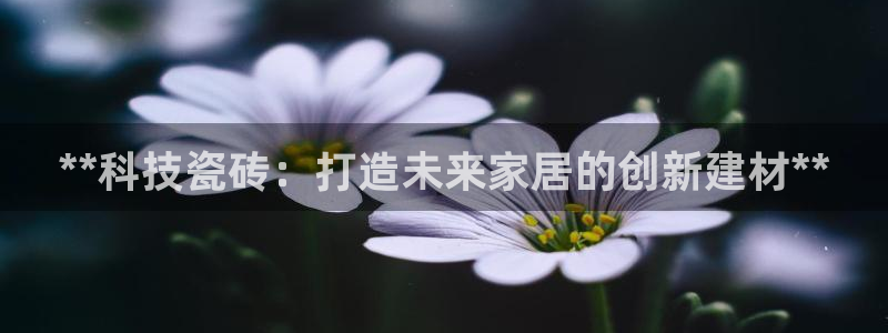 杏鑫平台代理怎么样啊