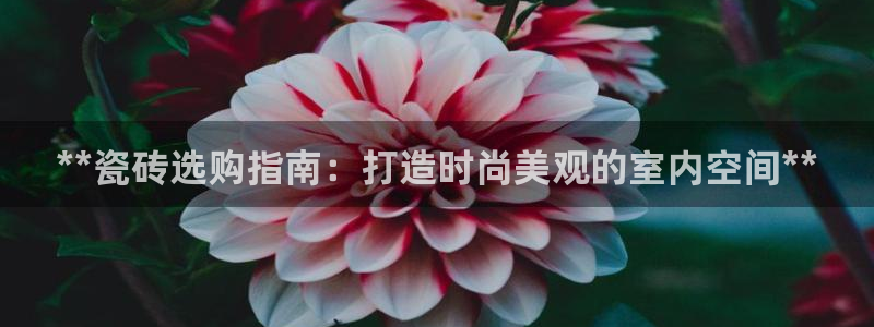 杏鑫3主管