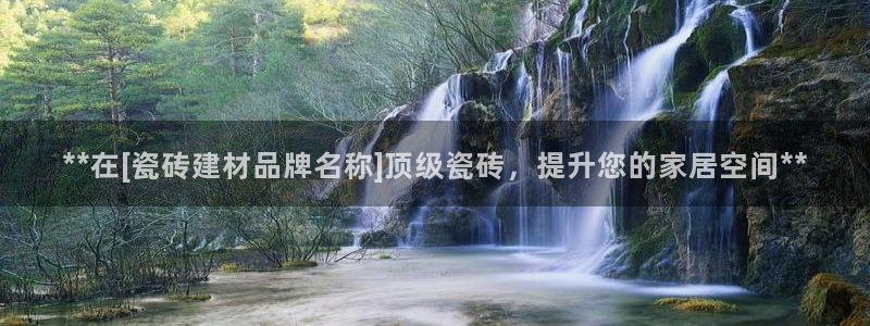 杏鑫平台平台