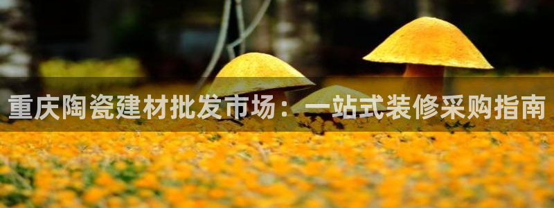 杏鑫平台注册地址