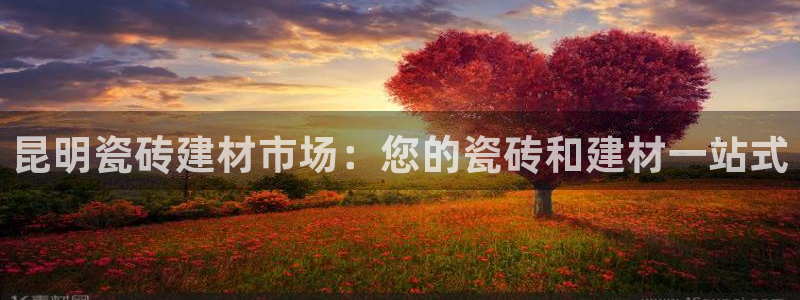 杏鑫官方平台怎么样