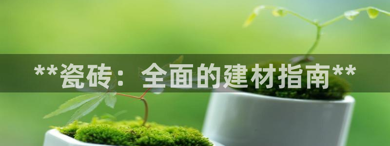 杏鑫平台代理注册多少钱