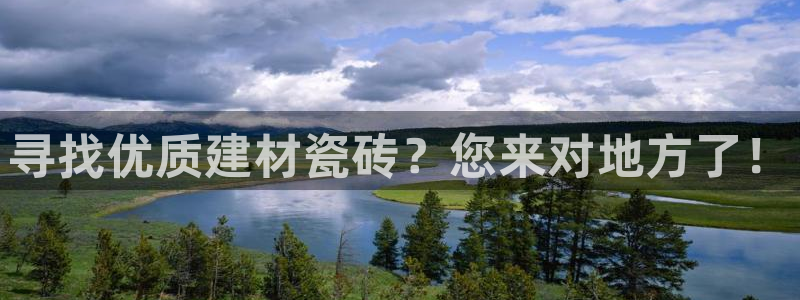 杏鑫代理注册平台