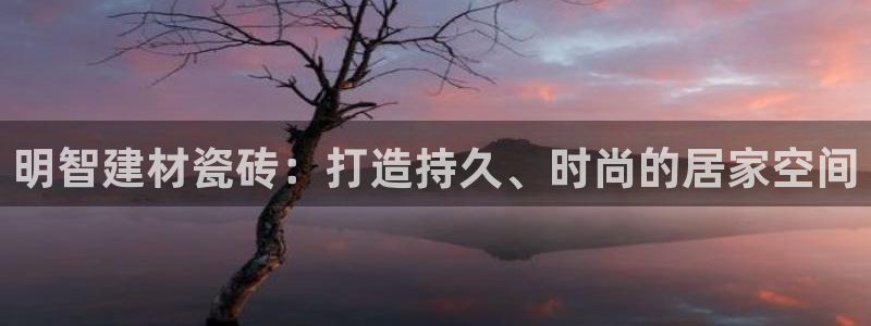 杏鑫注册登录代理公司