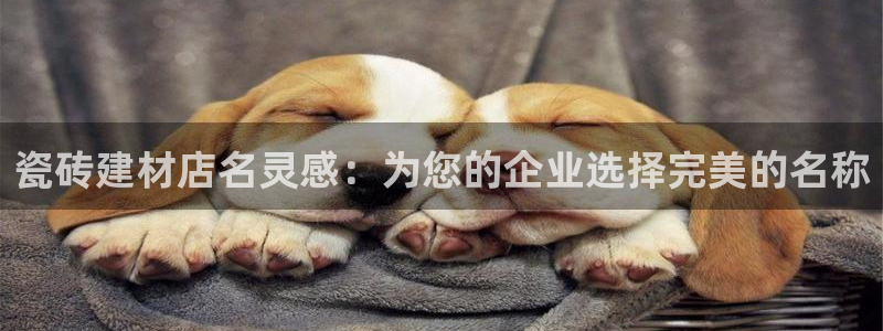 杏鑫平台怎么样知乎