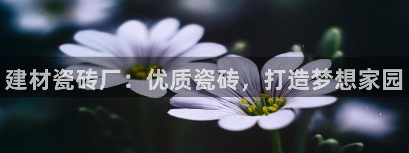 杏鑫官网注册账号怎么注册