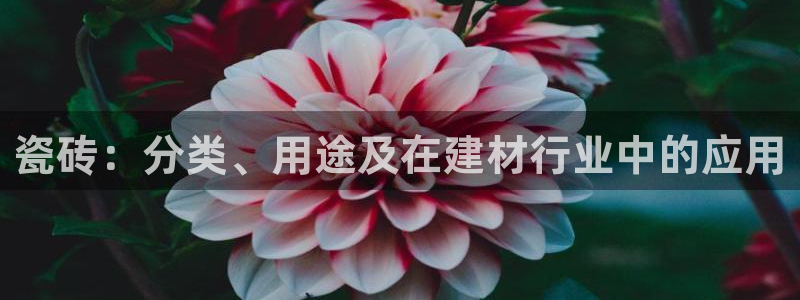 杏鑫娱乐是真的吗