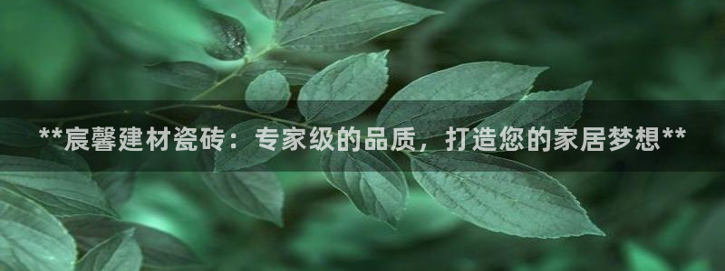 杏鑫平台招商怎么样