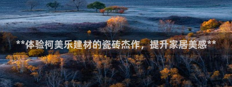 杏鑫娱乐平台测速怎么样