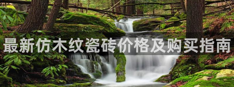 杏鑫平台招商电话号码