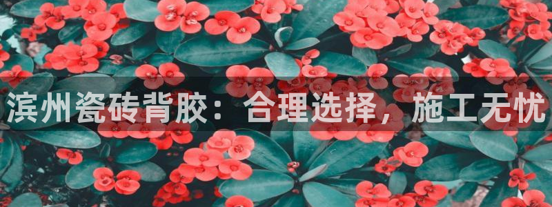 杏鑫平台招商怎么样啊