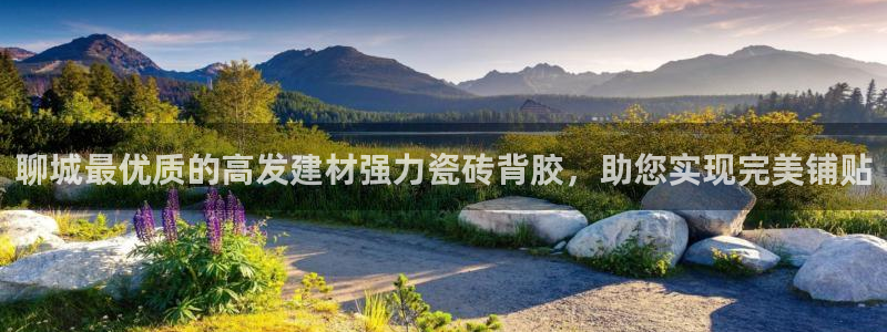 杏鑫平台下载安装