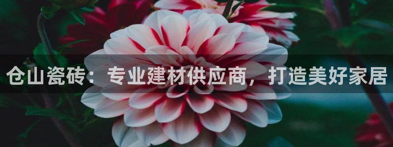 杏鑫官方平台怎么样