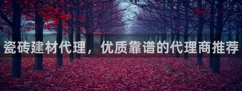 杏鑫平台待遇