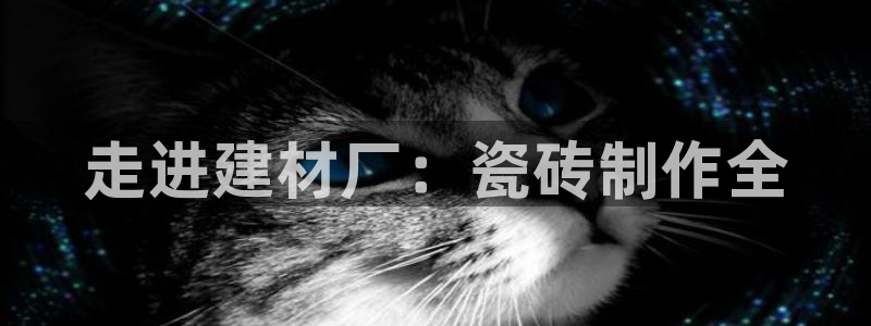 杏鑫平台代理怎么做赚钱