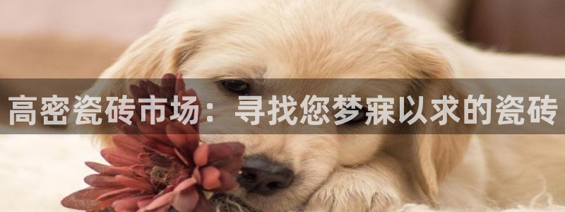杏鑫平台提供
