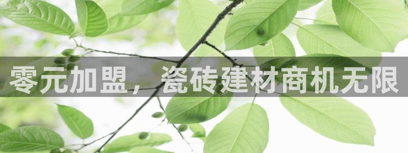 杏鑫官方app代理