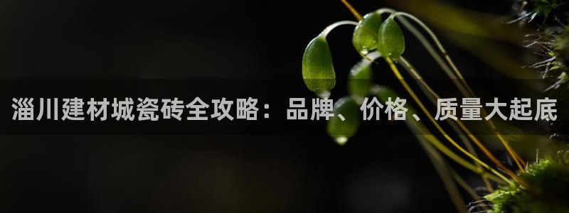杏鑫平台代理怎么做的