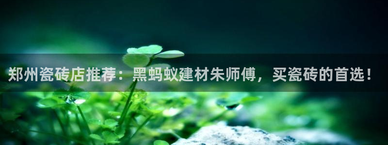 杏鑫官方平台怎么样啊知乎