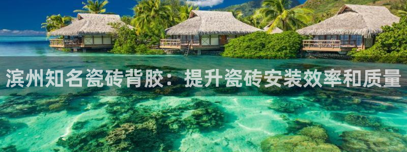 杏鑫平台代理怎么做赚钱