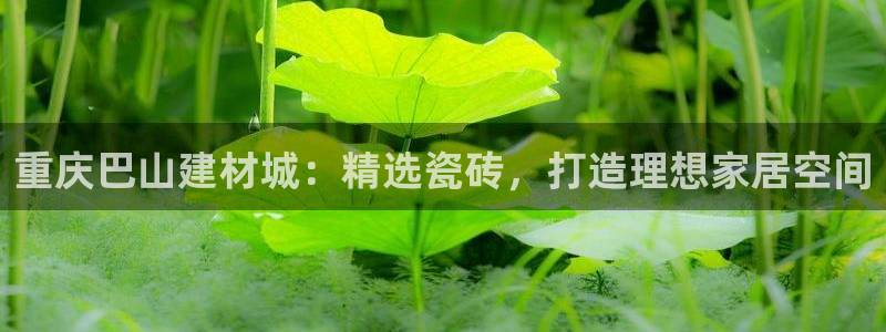 杏鑫娱乐是合法的吗?