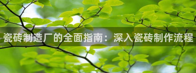 杏鑫官方平台怎么样啊安全吗