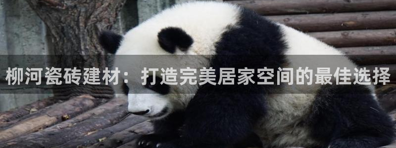 杏鑫官网注册账号密码是什么