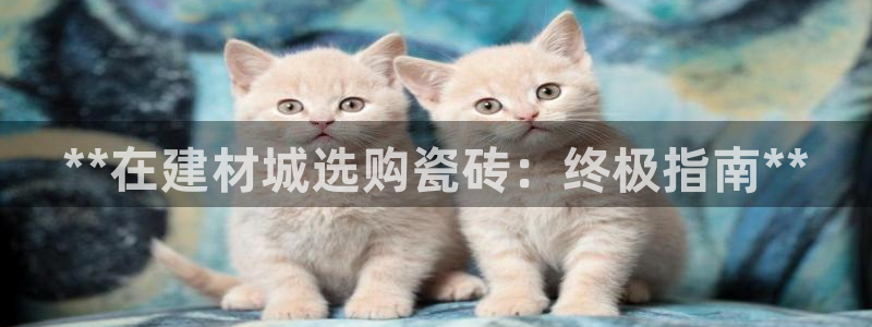 杏鑫娱乐是真的吗还是假的