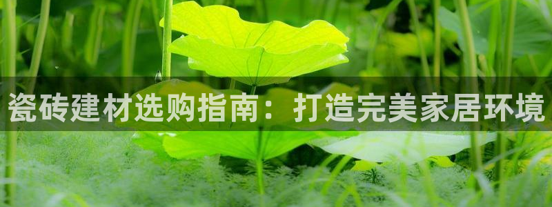杏鑫娱乐开发团队
