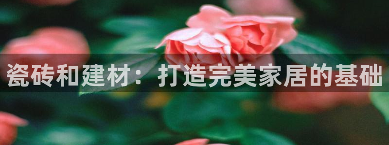 杏鑫平台代理怎么样赚钱