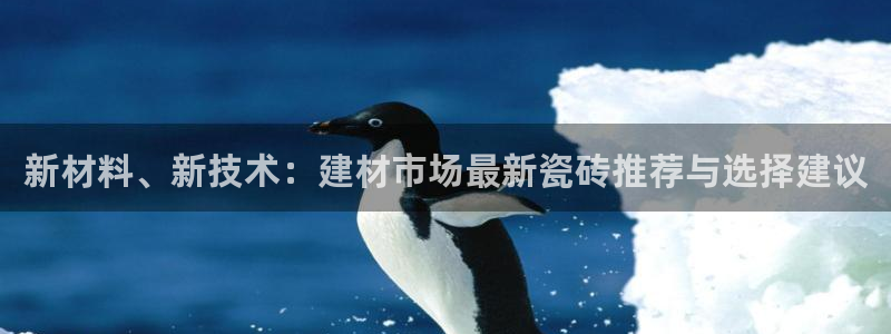 杏鑫娱乐平台测速怎么样