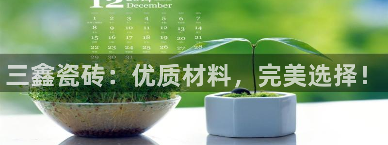 杏鑫平台代理怎么样